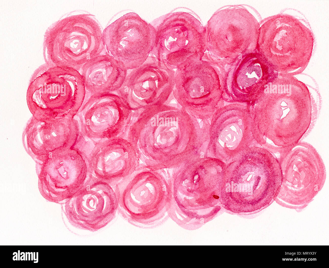 Hand gezeichnet Aquarell rose Hintergrund Stockfoto