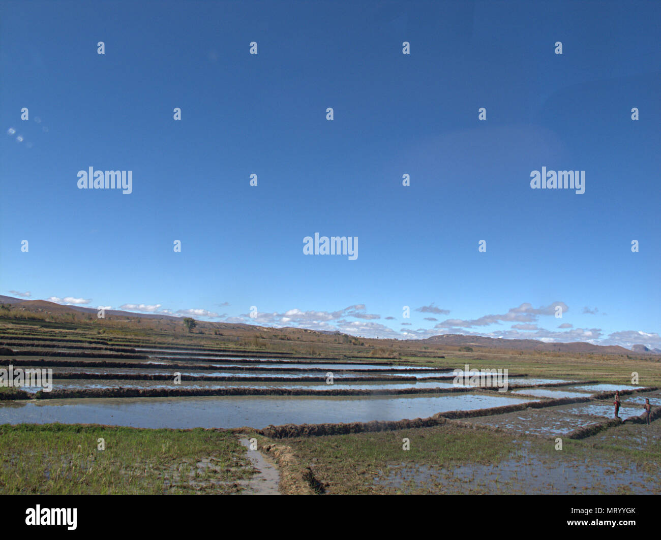 Reisfeld in der Nähe von Anja, Ambalavao, Madagaskar, Afrika Stockfoto