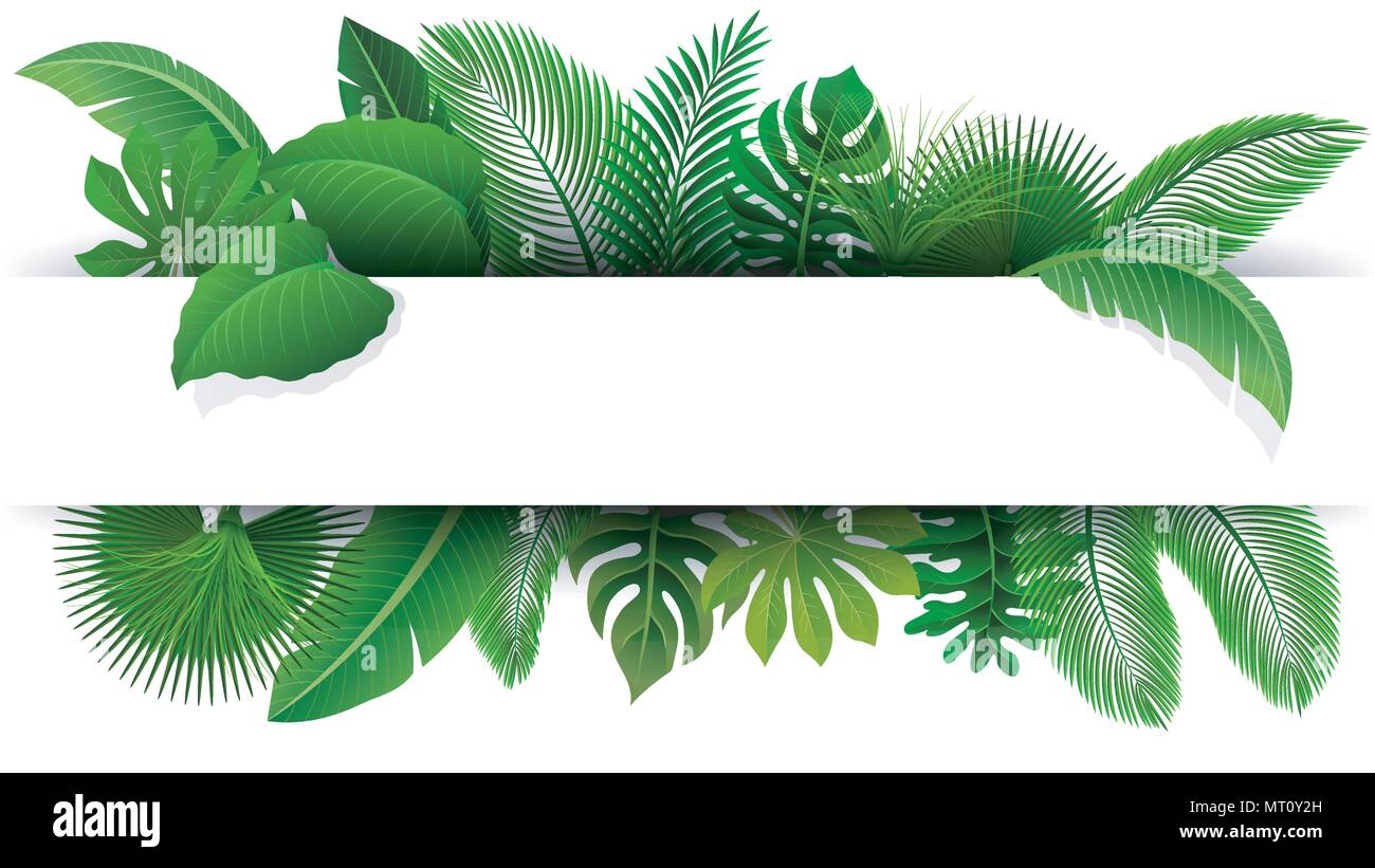 Schild mit Text von tropischen Blättern. Geeignet für Natur Konzept, Urlaub und Sommerurlaub. Vector Illustration Stock Vektor