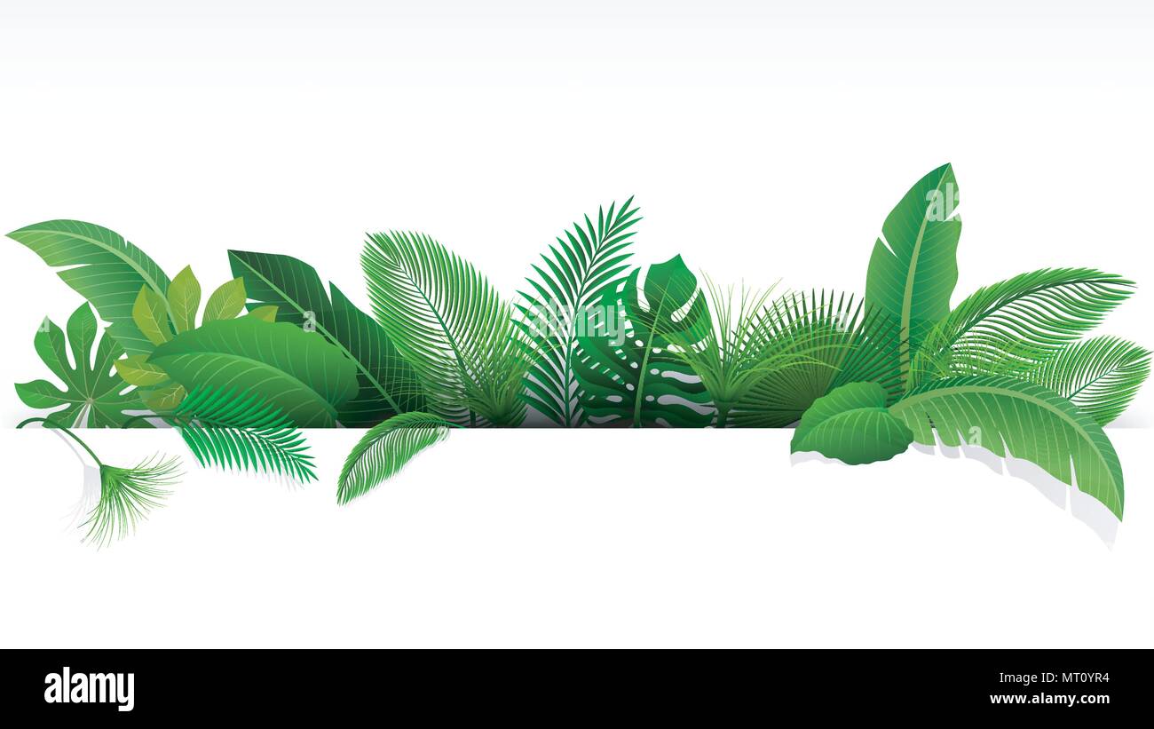Schild mit Text von tropischen Blättern. Geeignet für Natur Konzept, Urlaub und Sommerurlaub. Vector Illustration Stock Vektor
