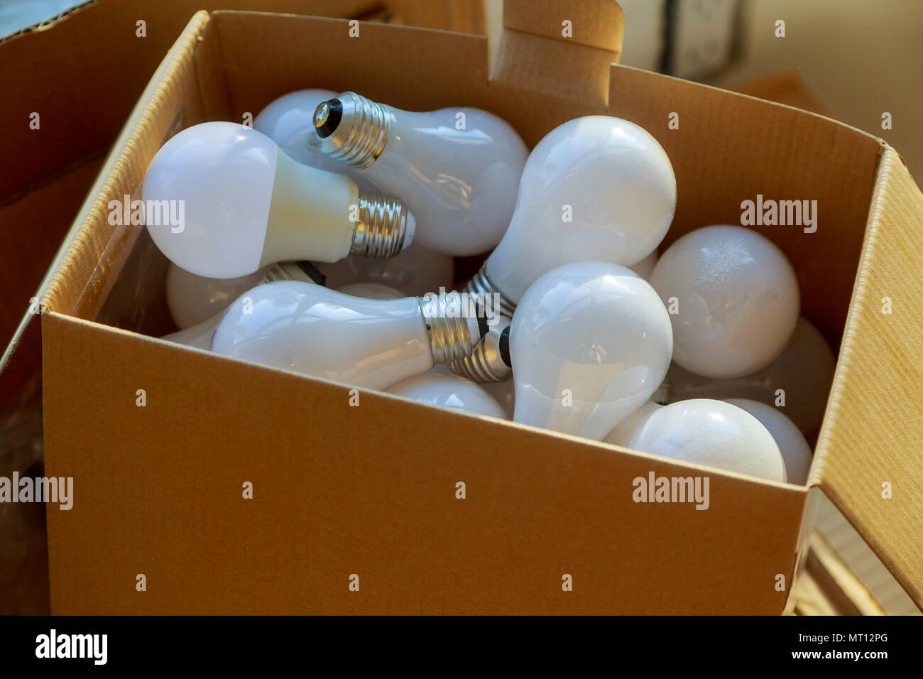 Verpackt Glühbirnen Reihen von Glühbirnen in einem Karton Stockfoto