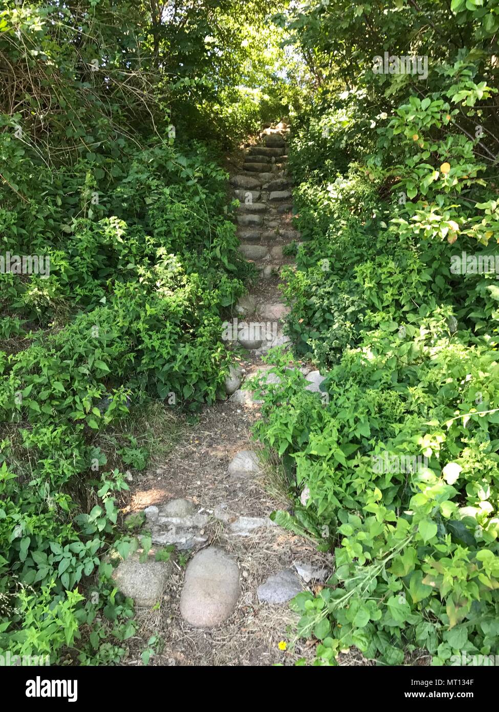 Dieser Gehweg mit Treppen und Felsen eine entlang eines Pfades. Stockfoto