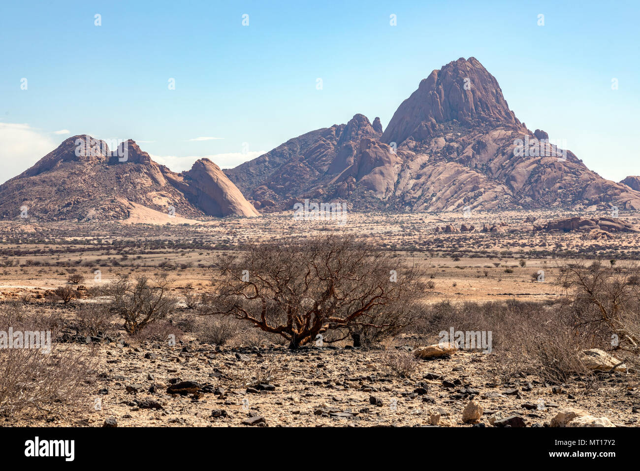 Spitzkoppe, Usakos, Namibia, Afrika Stockfoto