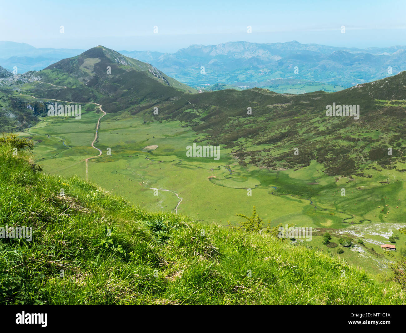 Grünen Weide im Nationalpark Picos de Europa, Spanien, Asturien. Bergwiesen Landschaft. Stockfoto