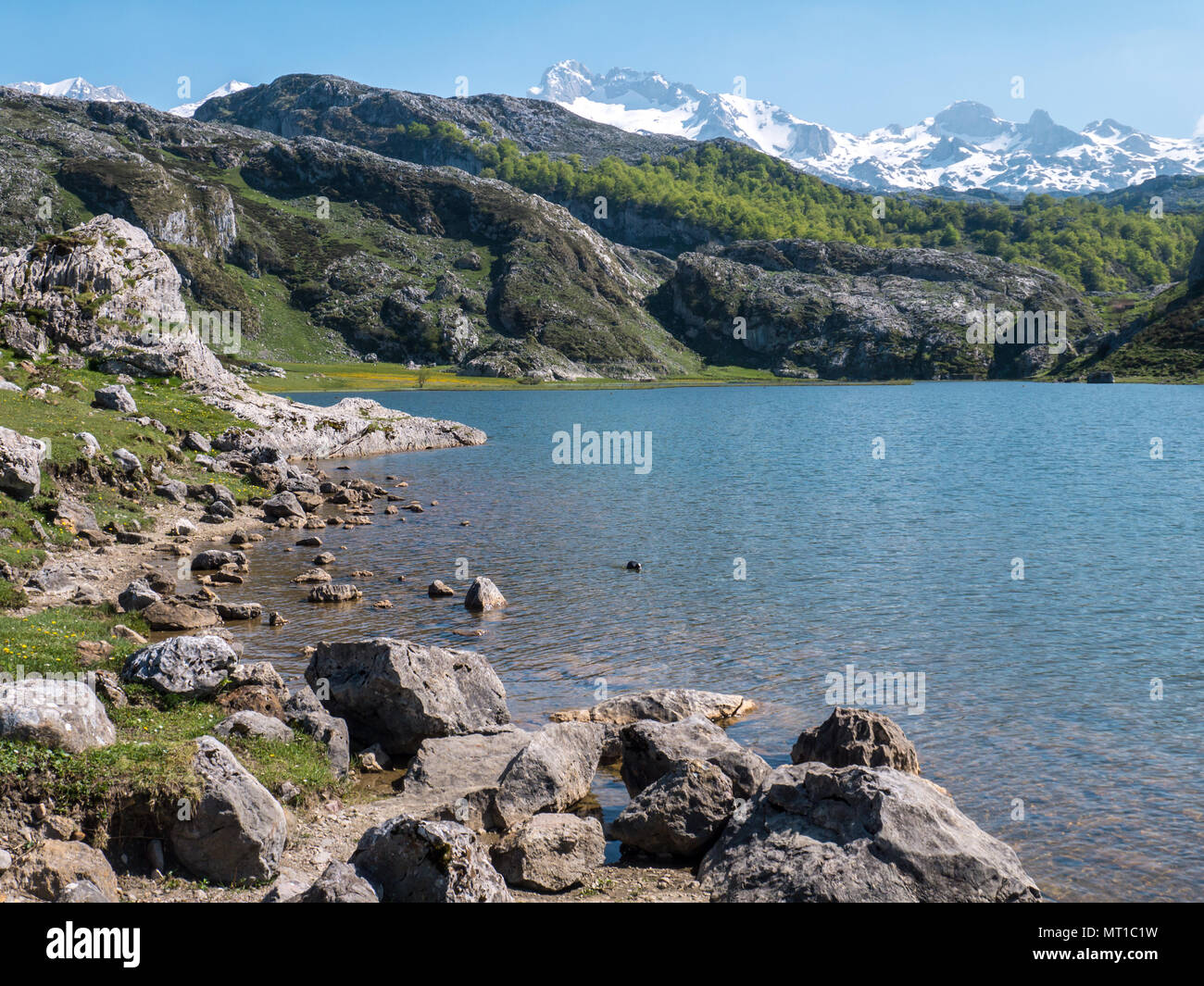 Covadonga Seen. Ercina See im Nationalpark Picos de Europa, Spanien, Asturien. Schnee auf den Gipfeln. Stockfoto