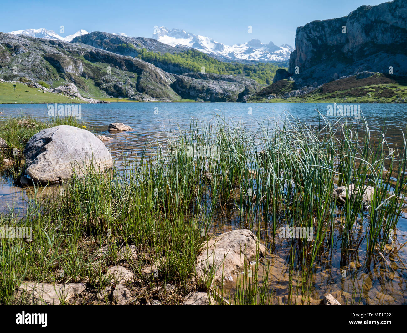 Alpine Mountain Lake Landschaft. Ercina See im Nationalpark Picos de Europa, Spanien, Asturien. Schnee auf den Gipfeln. Stockfoto