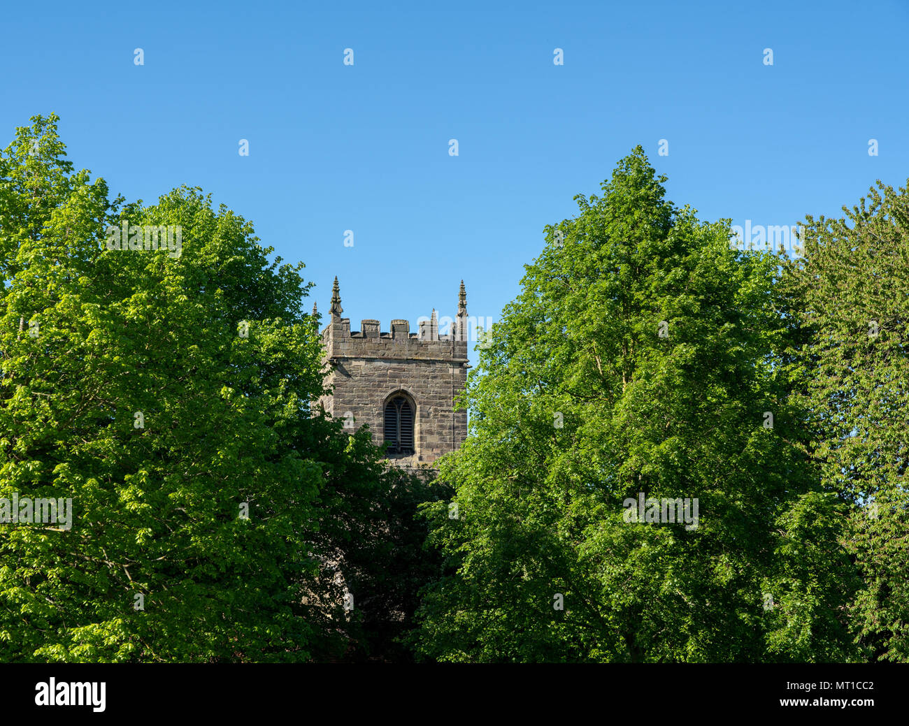 Typisch englischen Szene aus Stein Kirche Turm zwischen zwei großen Bäumen Stockfoto