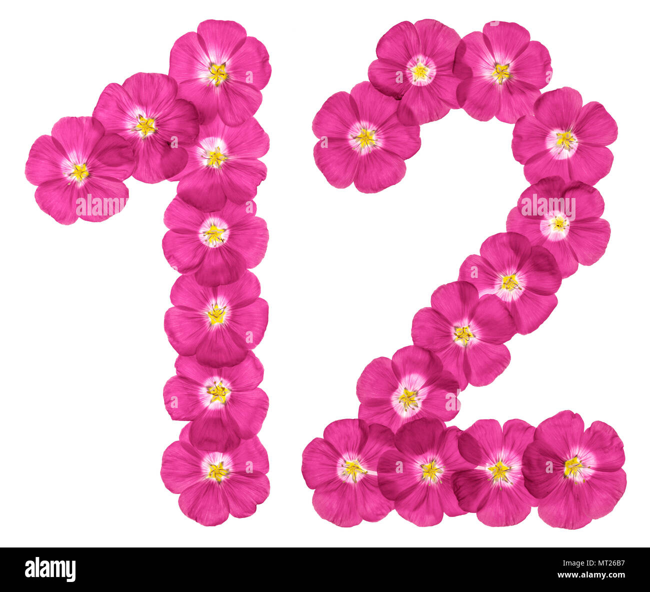 Arabische Zahl 12, zwölf, von rosa Blüten von Flachs, auf weißem