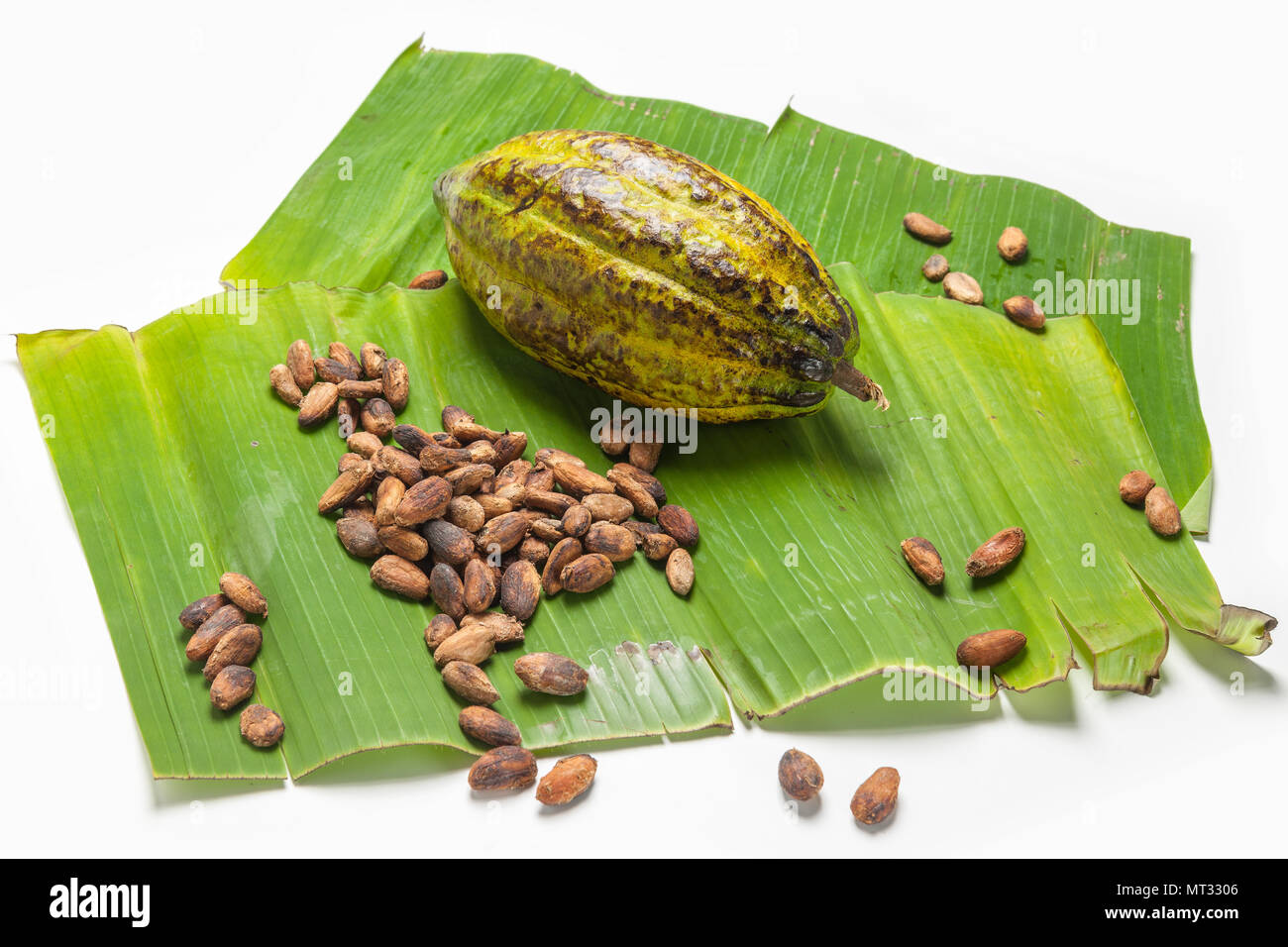 Cabossa und Kakaobohnen auf Bananenblättern Stockfoto