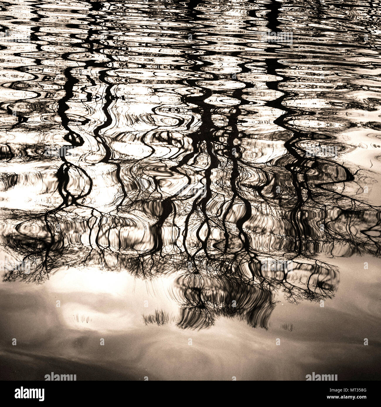 Reflexionen auf ruhigem Wasser erzeugen komplizierte Muster während eines ruhigen Nachmittags in der Natur Stockfoto