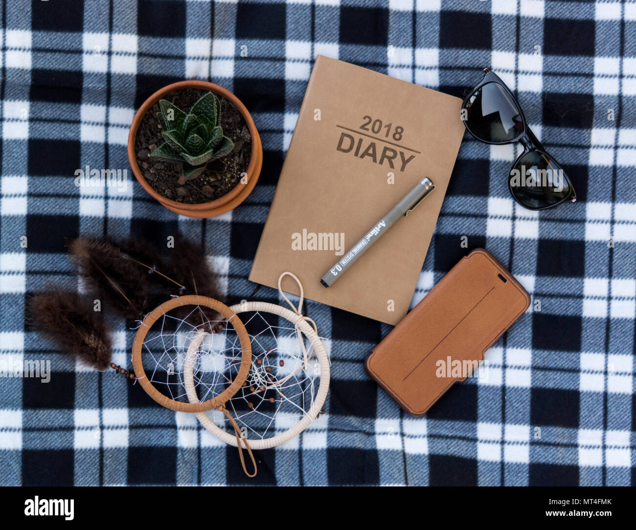 Blick in die Zukunft Wachstum von 2018 Stockfoto