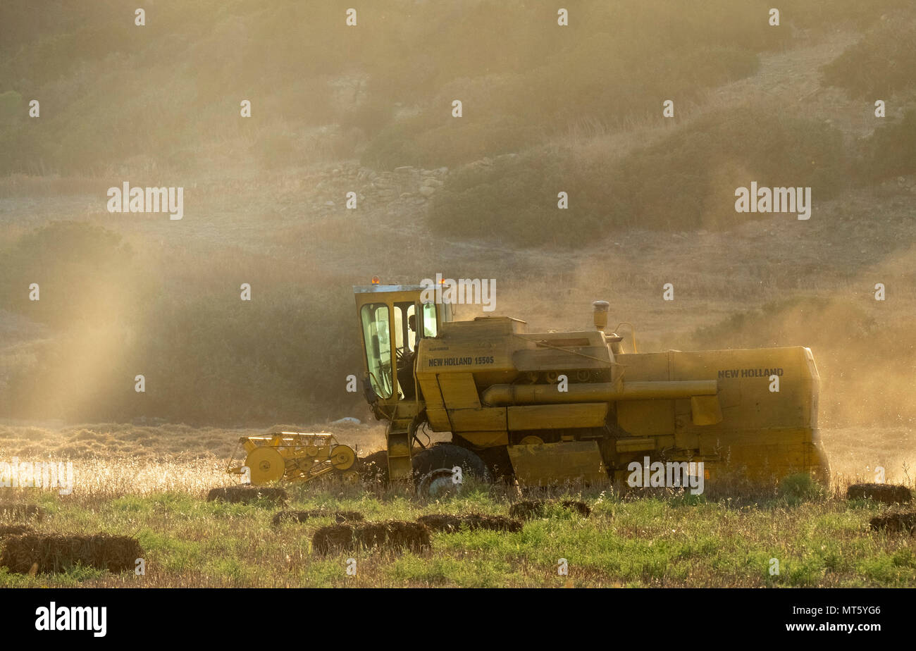 Ein New Holland Mähdrescher arbeiten in einem Feld in der Nähe von Rizokapaza, Nordzypern Stockfoto