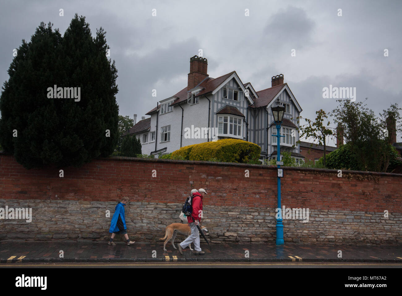 Mann gehen der Hund im Regen, in Stratford-upon-Avon, England, Großbritannien Stockfoto