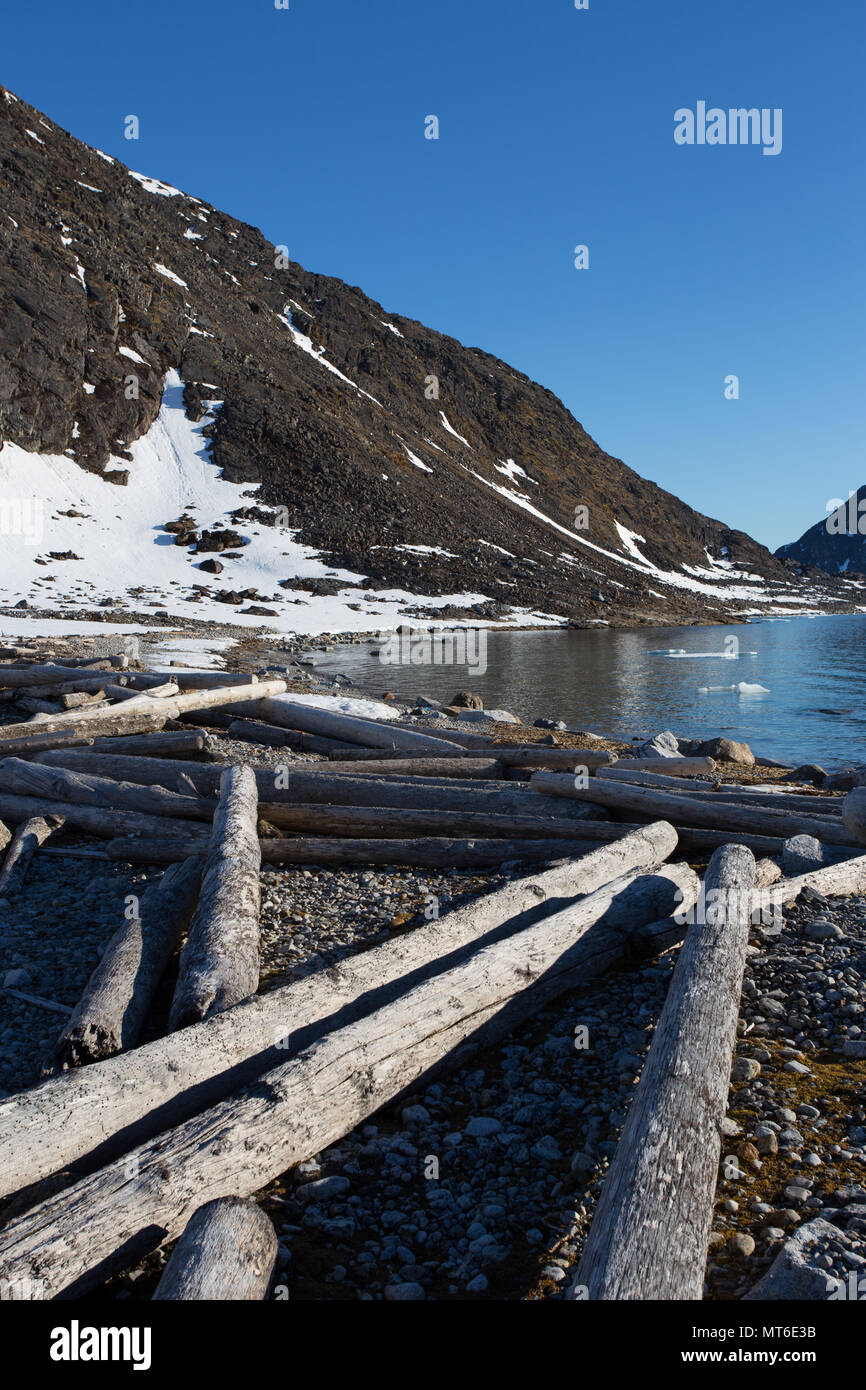 Holz- und gefällte Bäume an der Küste von Spitzbergen, Svalbard im Arktischen Ozean. Stockfoto
