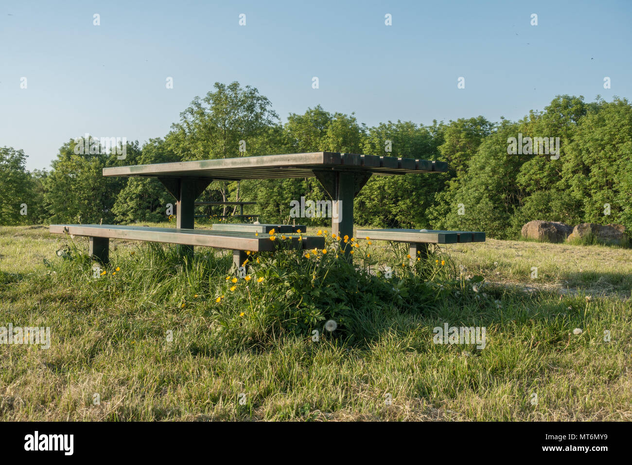 Ein Picknick Tisch mit ranunkeln in der englischen Landschaft überwachsen Stockfoto