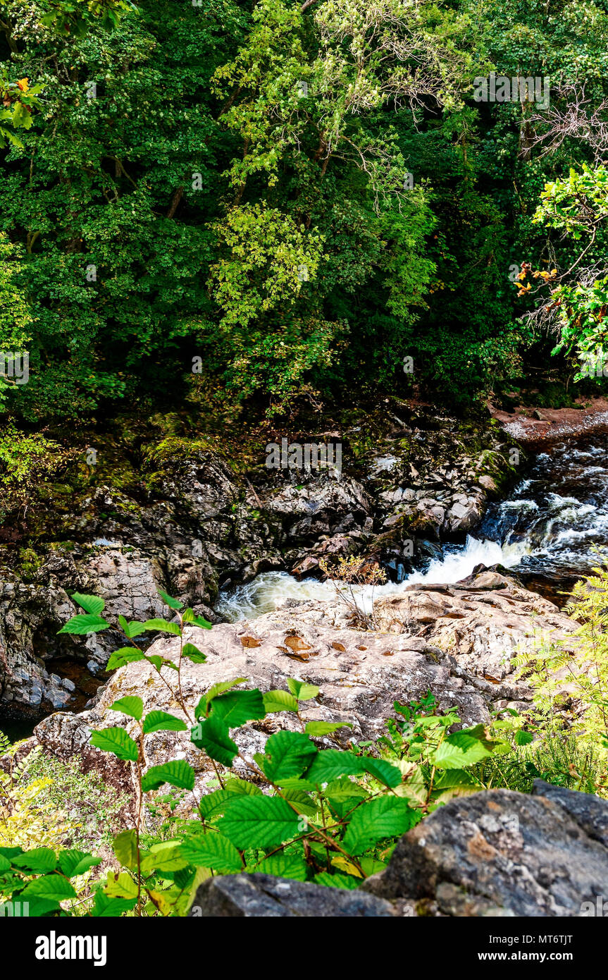 Platten aus Kantigen magmatischen suchen Felsen liegen im Winkel einer auf einem anderen an jeder Seite des schnell fließenden Fluss Garry durch grünes Laub braun gesichert Stockfoto