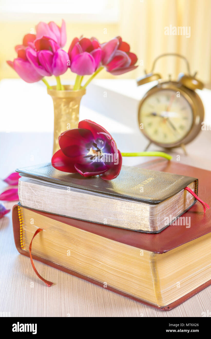 Bibel und alte Gold Wecker mit Blumen auf hölzernen Tisch Hintergrund. Konzentrieren Sie sich auf die Abdeckung auf Bibel Stockfoto