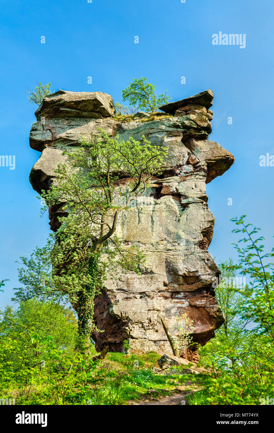 Ruinen der Burg Anebos in den Pfälzer Wald. Deutschland Stockfoto