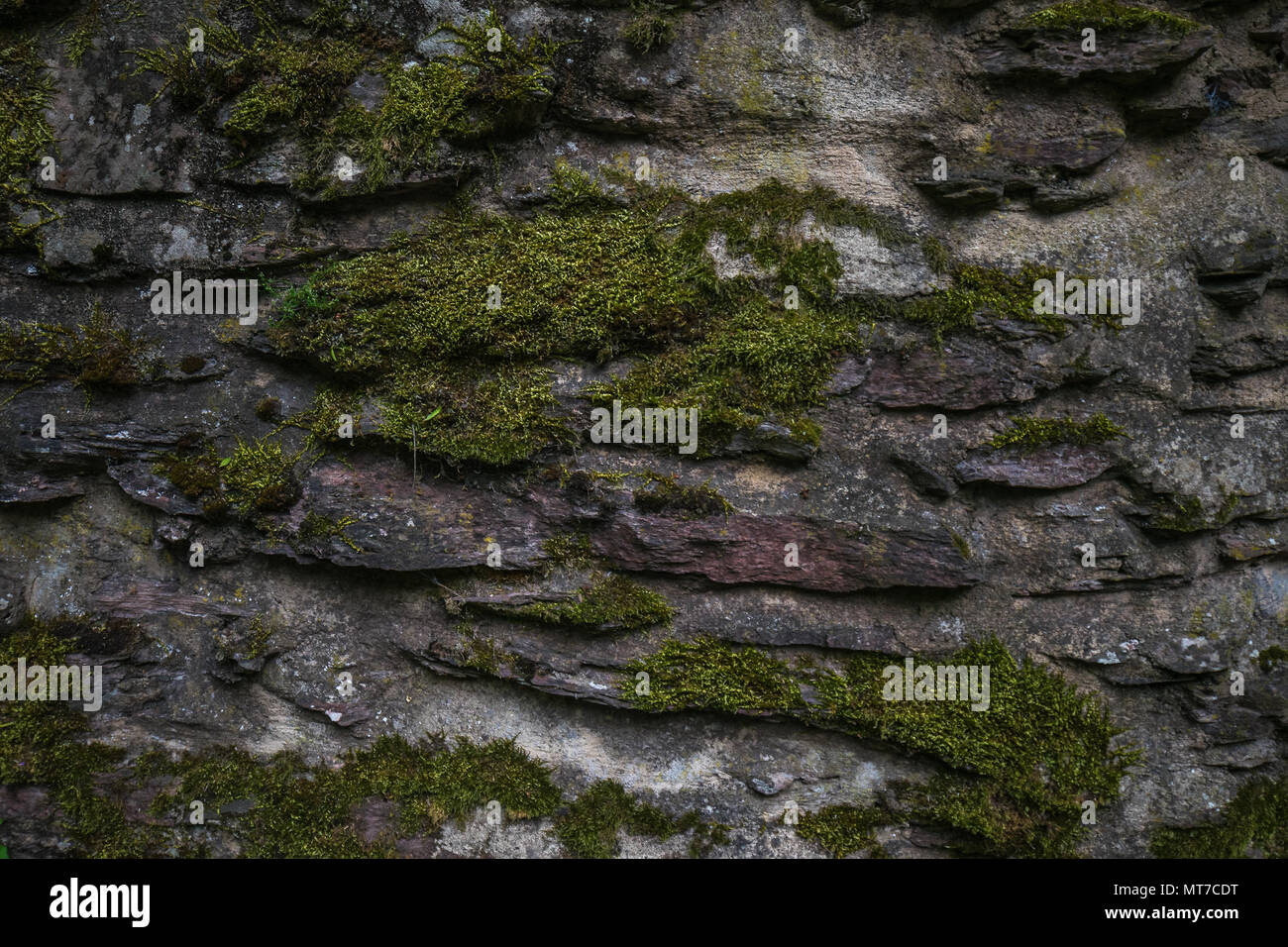 Backgroung Textur Wände Stockfoto