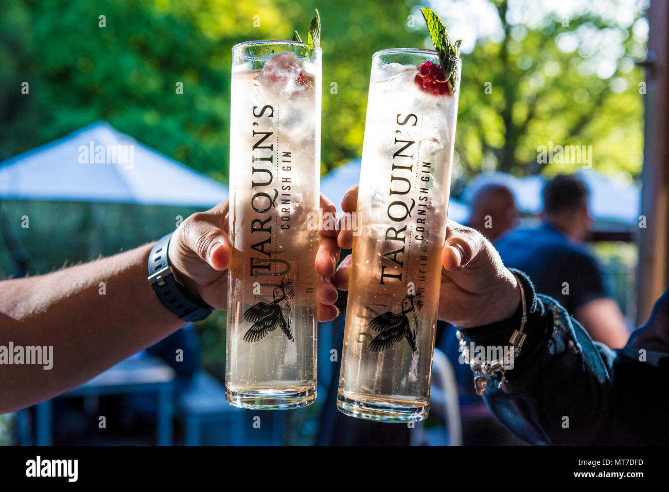 Gläser Gin und Tonic bei einer Veranstaltung im Trebah Garten in Cornwall. Stockfoto