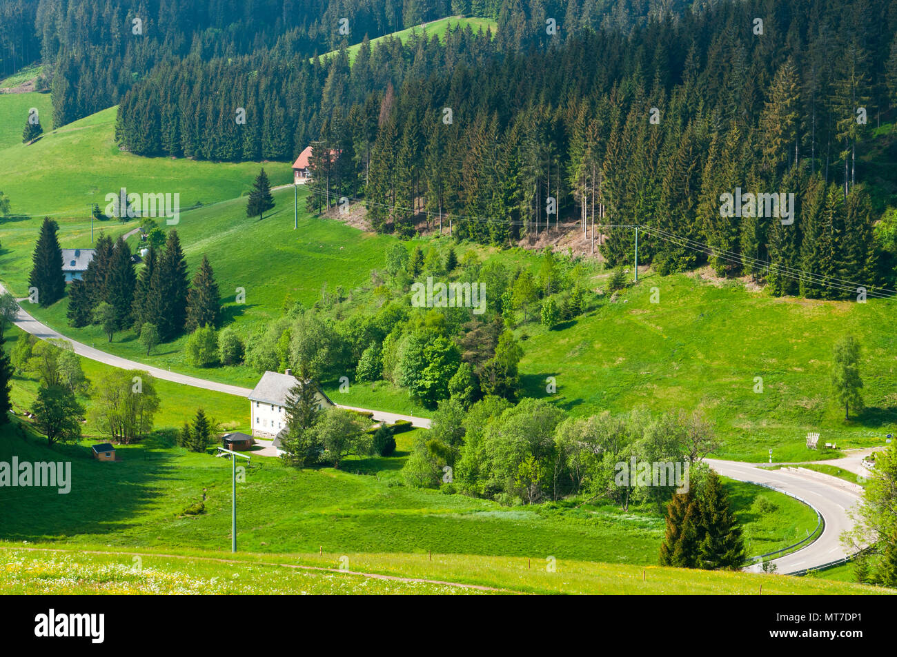 Schwarzwald Landschaft, Deutschland Stockfoto