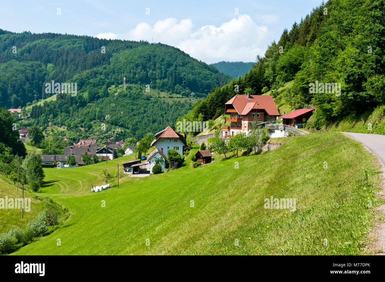 Schwarzwald Landschaft, Deutschland Stockfoto