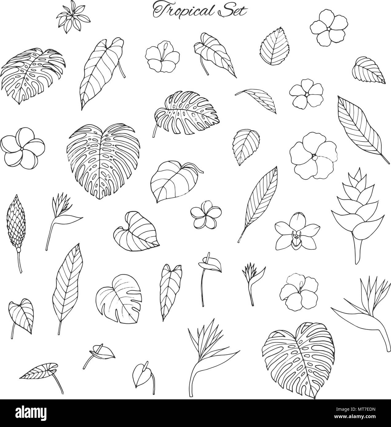 Hand gezeichnet tropisch mit monstera und Bananenblättern, Hibiskus, Heliconia, plumeria, Anthurium, Orchideen und Bird of paradise Blumen auf Th isolierte Gruppe Stock Vektor