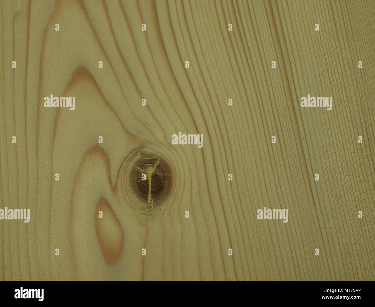 Holz Oberflächen, Muster auf Holz dargestellt. Stockfoto