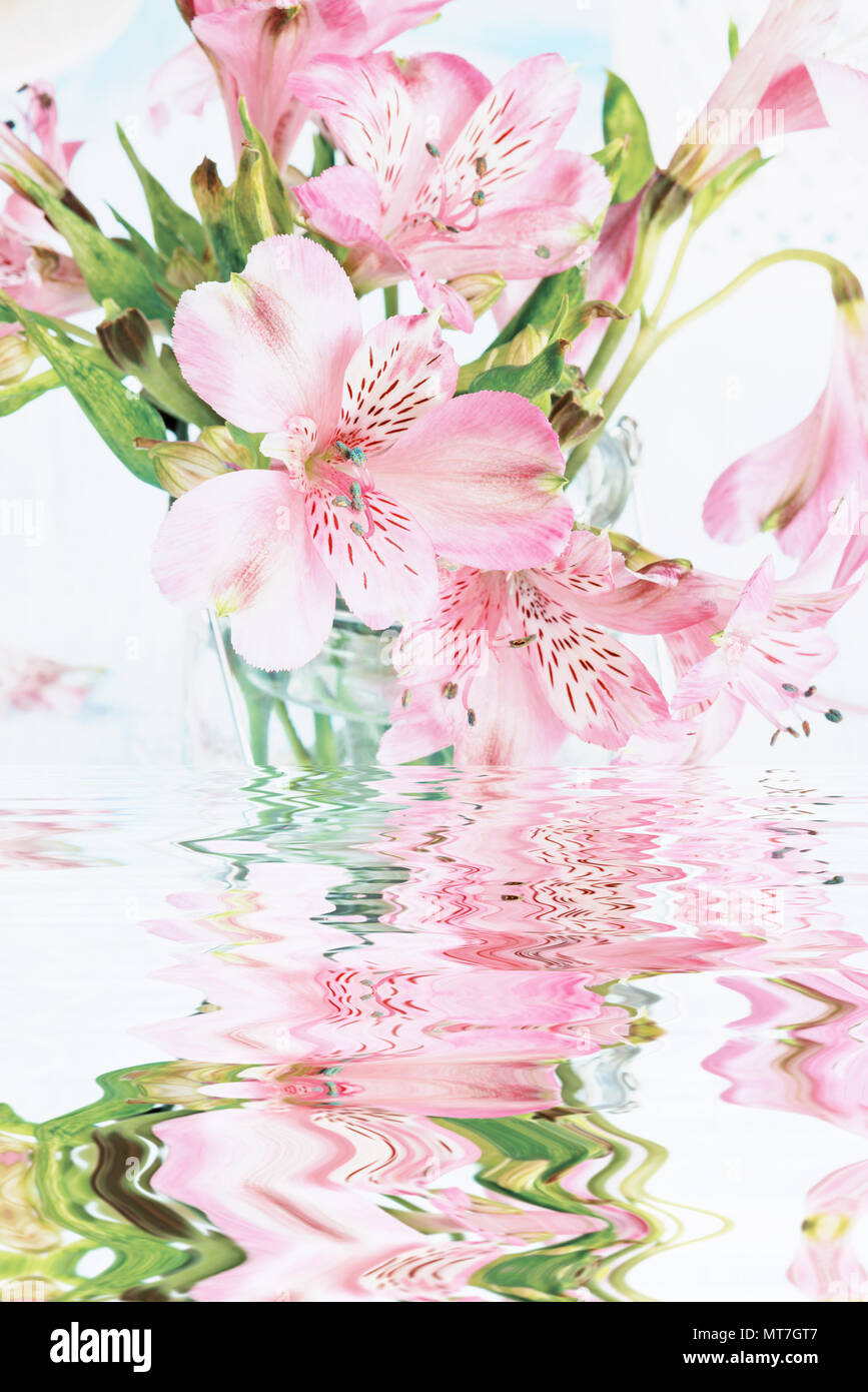 Blumenstrauß aus rosa alstroemeria Blumen mit Reflexion in eine Wasseroberfläche Stockfoto Blumenstrauß aus rosa alstroemeria Blumen mit Reflexion in eine Wasseroberfläche Stockfoto