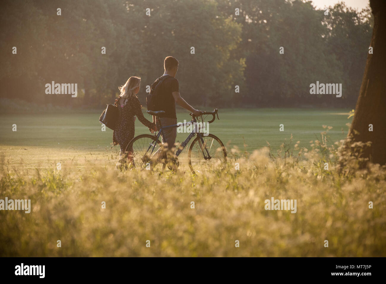 Ein Junge und ein Mädchen zu Fuß nach Hause, an einem sonnigen Abend, Hände halten in der Abendsonne Stockfoto