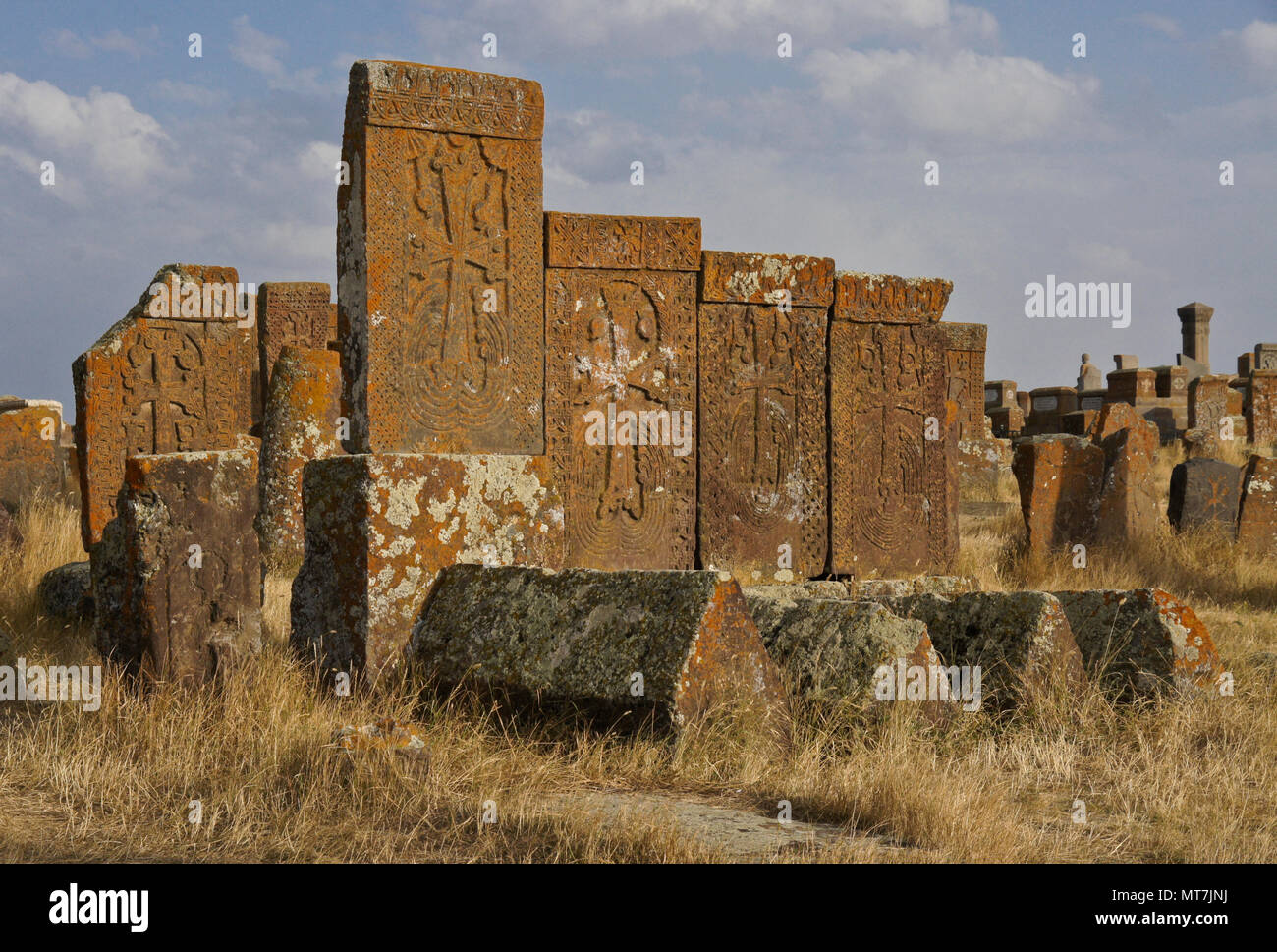 Flechten und Moos - verkrustete khachkars (khatchkars oder cross-Steine) in Noratus (noraduz) Friedhof, Noratus (noraduz), Armenien Stockfoto