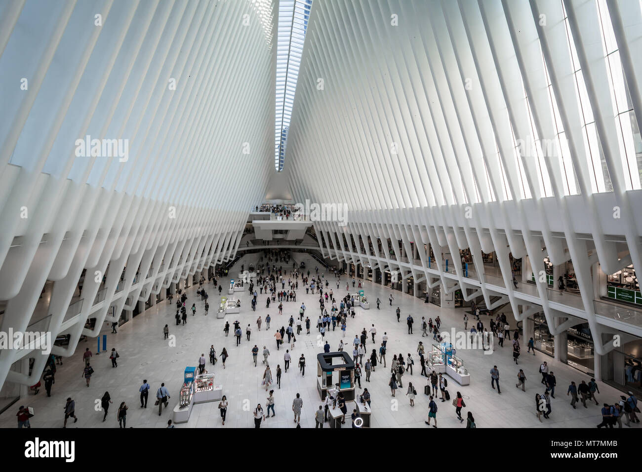 Die Oculus, auf das World Trade Center in Manhattan, New York City. Stockfoto