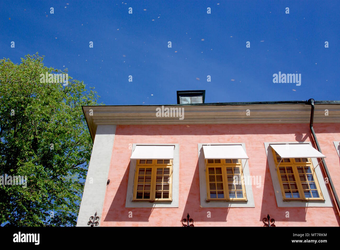 Stenbockska palatset oder Stenbock Palace, ist ein Palast mit rosa Fassade im 17. Jahrhundert in Riddarholmen, Stockholm, Schweden gebaut Stockfoto