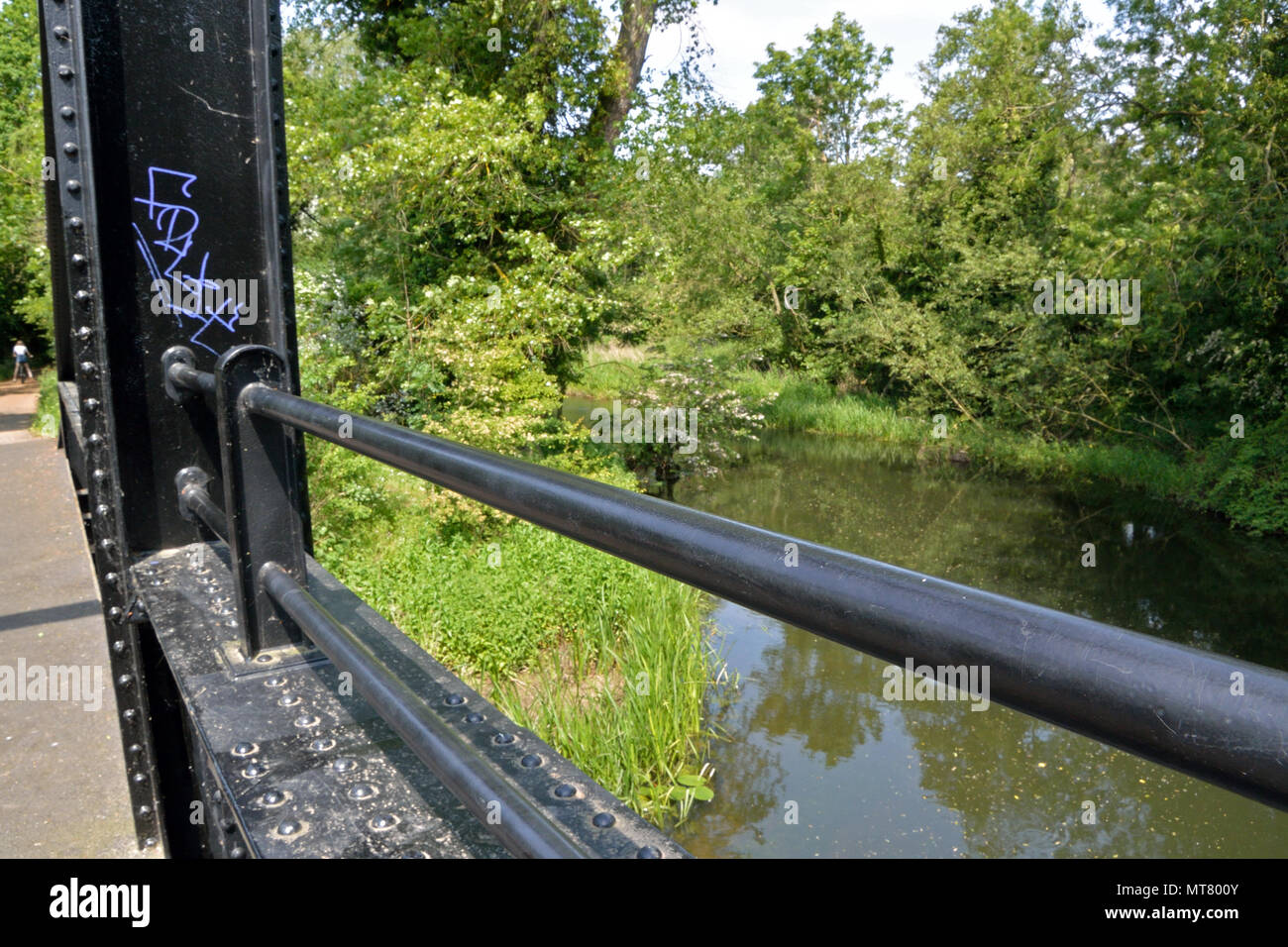 Ein frame Eisenbahnbrücke über den Fluss Wensum in der Nähe von Hellesdon, Norfolk, jetzt Teil der Marriott so lange Strecken zu Fuß/Radweg Stockfoto
