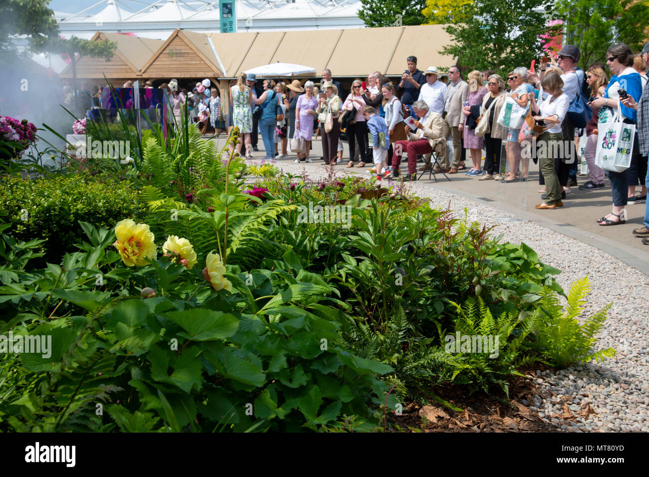 Die Besucher der Chelsea Flower Show rund um die Wuhan Wasser Garten von Laurie Chetwood und Patrick Collins an der RHS Chelsea Flower Show 2018 entwickelt. Stockfoto