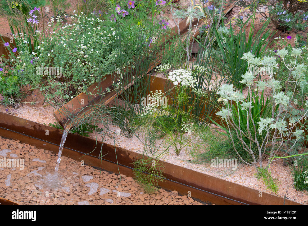 Ein Bächlein in einem Teich umgeben von Pflanzen, einschliesslich Daucus gingidium und Dorycnium pentaphyllum im M&G Garten von Sarah Preis entworfen, um die Stockfoto