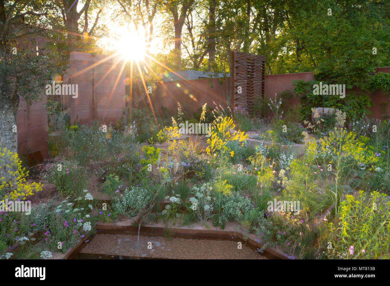 Sonnenaufgang hinter dem M&G Garten von Sarah Preis an der RHS Chelsea Flower Show 2018, London, UK konzipiert Stockfoto