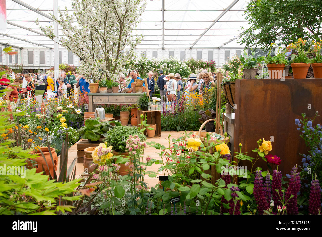 Besucher im Festzelt an der RHS Chelsea Flower Show 2018, London, UK Stockfoto