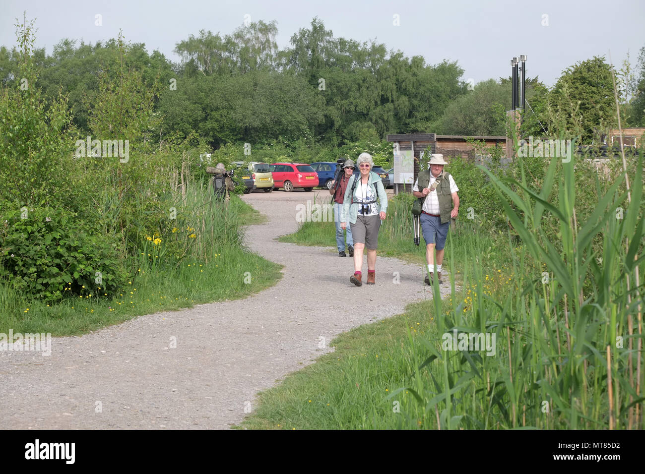 Mai 2018 - die Menschen in Ham Wand, RSPB Nature Reserve in Somerset, auf den Ebenen Stockfoto