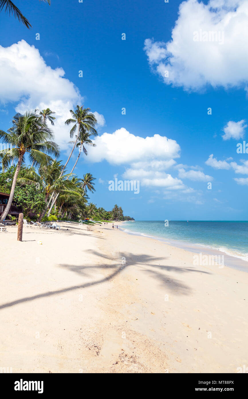 Strand von Bang Por auf Koh Samui in Thailand. Stockfoto