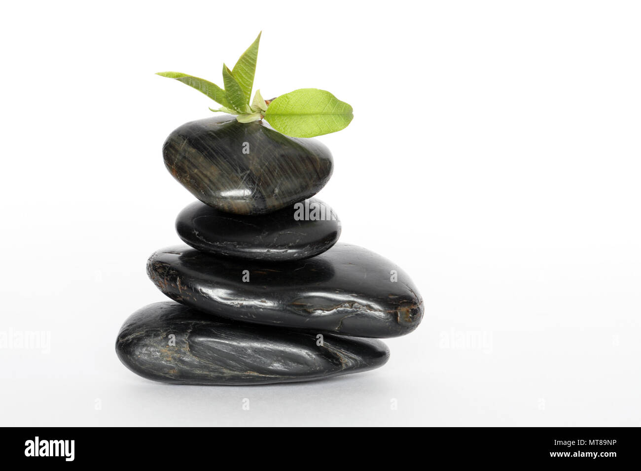 Grüne Blätter liegen auf Schwarz balancing Steine auf weißem Hintergrund Stockfoto