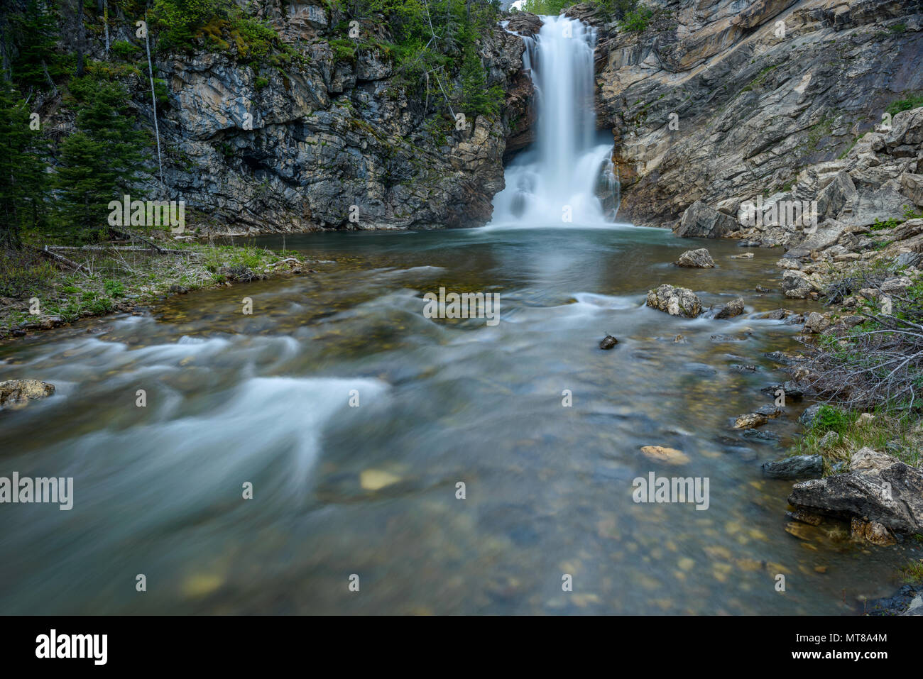 Ausführen von Adler fällt - eine Feder am Abend Blick auf laufende Adler fällt bei zwei Medizin Valley Region des Glacier National Park, Montana, USA. Stockfoto