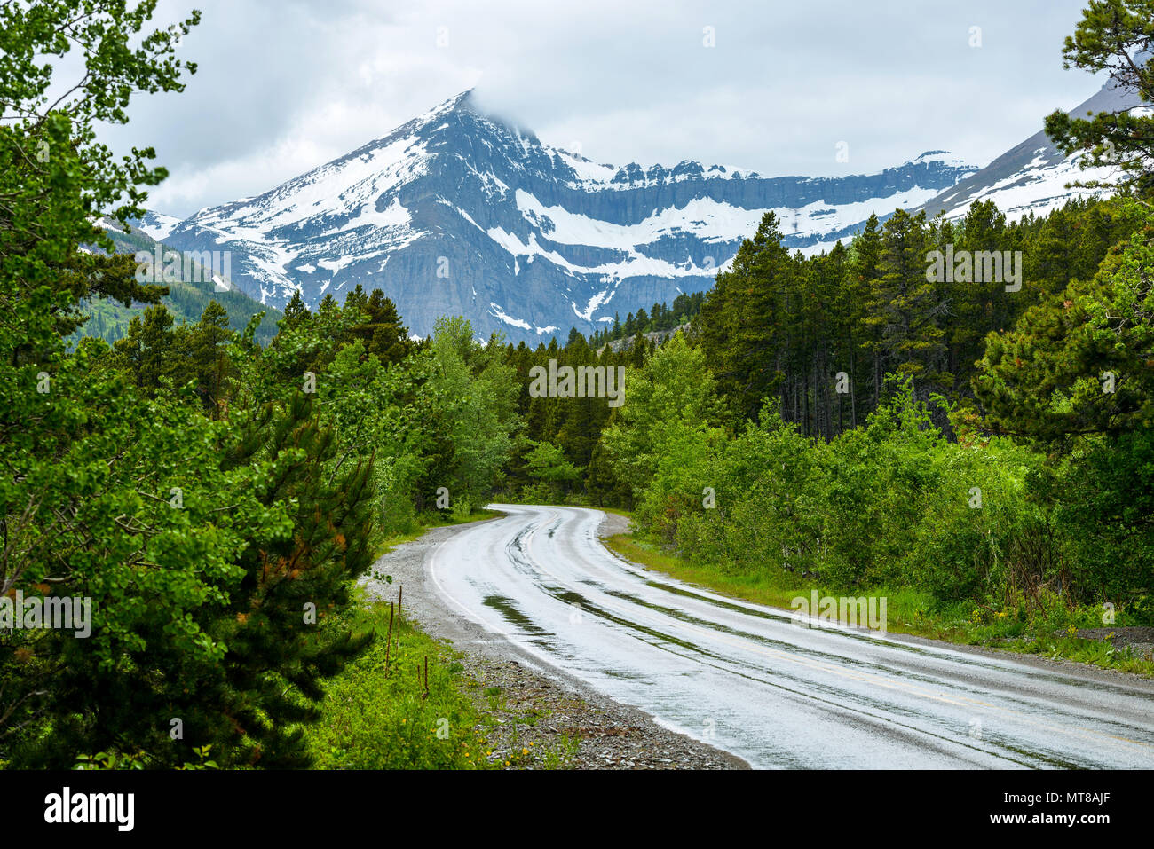 Stürmische Mountain Road - ein stürmischer Frühling Blick auf eine kurvenreiche Straße im Glacier National Park, Montana, USA. Stockfoto