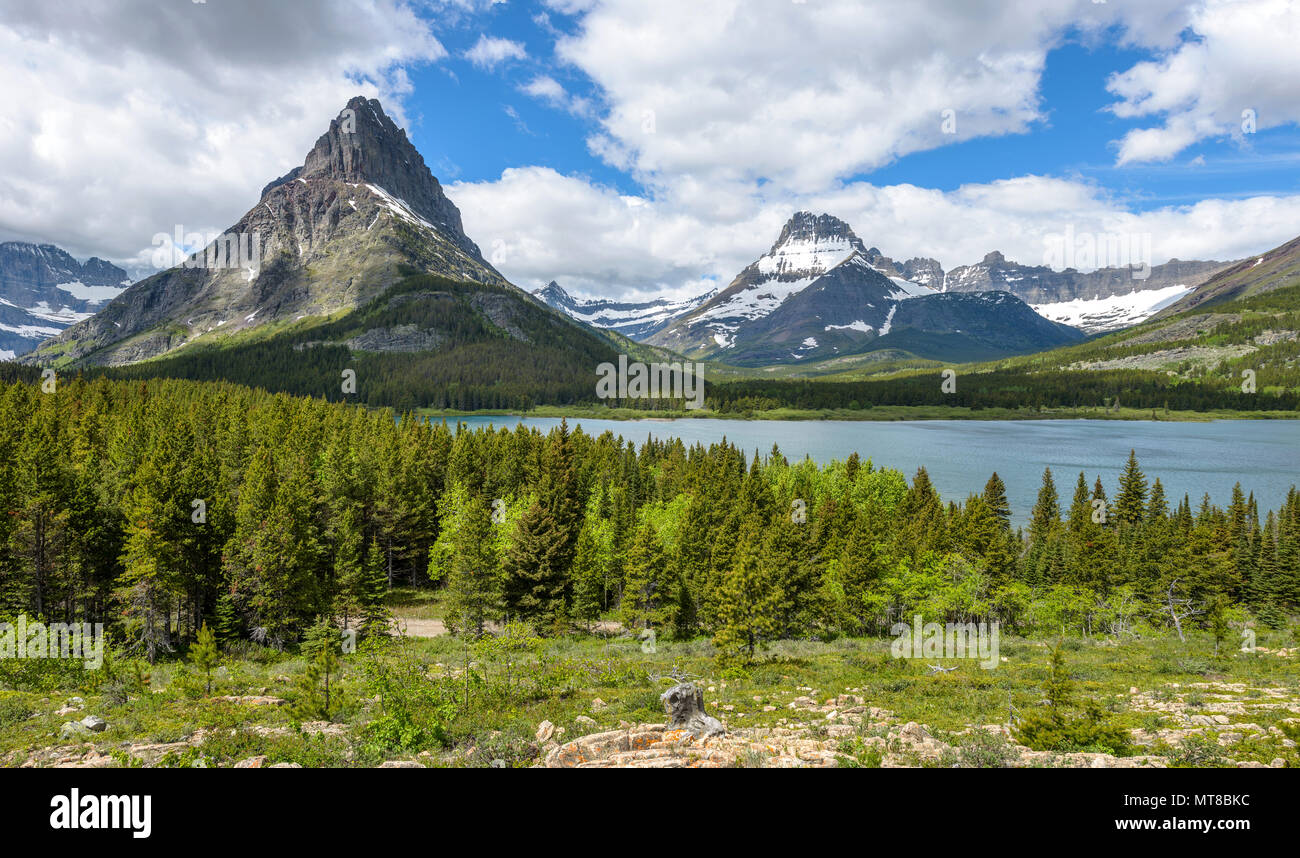 Mount Grinnell und Mount Wilbur - einen herrlichen Frühling Blick auf Mount Grinnell und Mount Wilbur hoch über swiftcurrent Lake in vielen Gletscher. Stockfoto