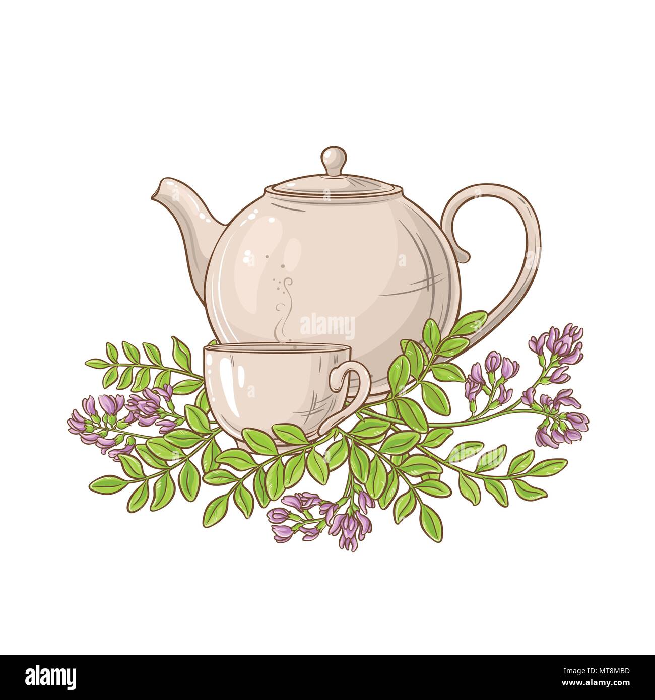 Astragal Kaffee Vector Illustration auf weißen backgrond Stock Vektor