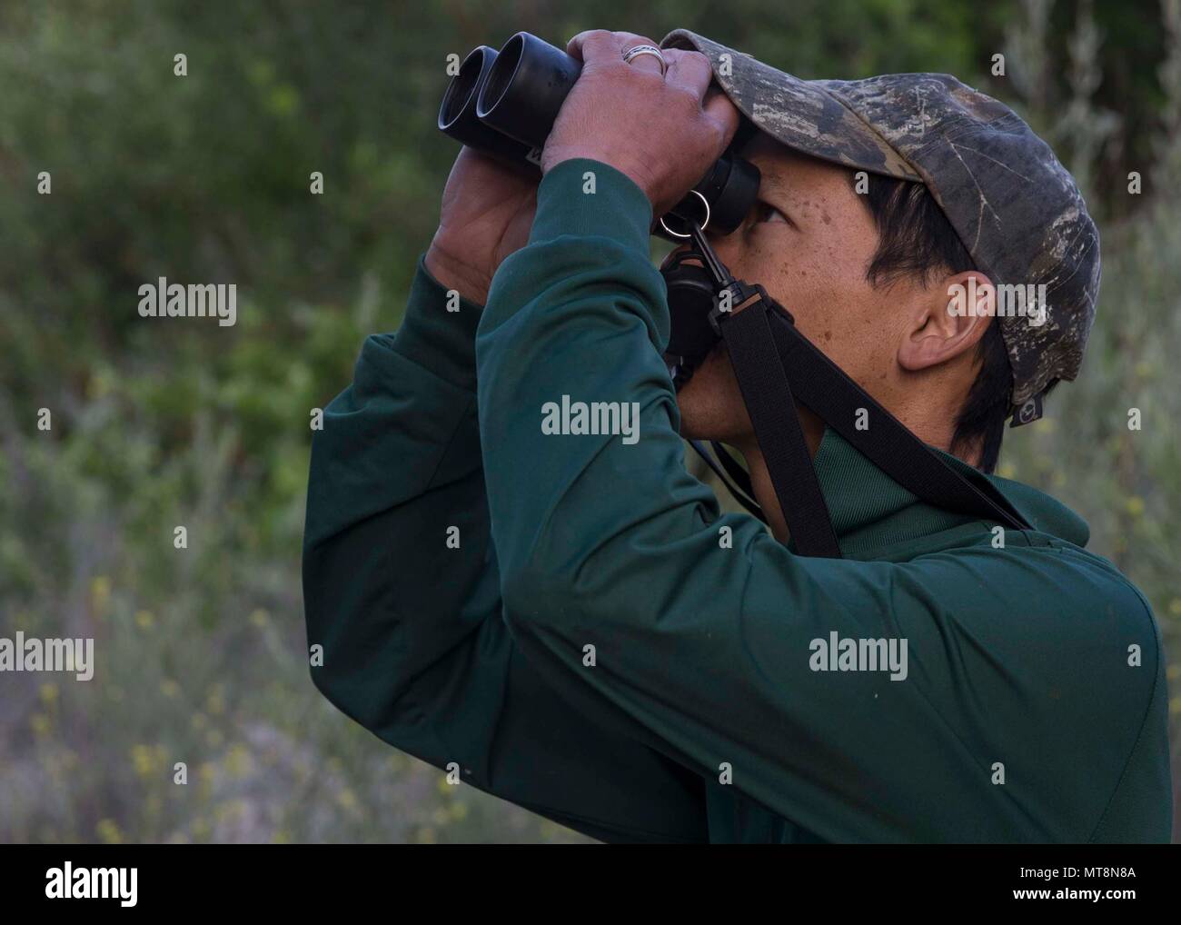 Colin Lee, Wildnisbiologen mit der Marine Corps Base Camp Pendleton's Game Warden, Büro, sucht für den Gefährdeten am wenigsten Bell vireo im Santa Margarita Fluss in Camp Pendleton, Kalifornien, USA, 16. Mai 2018. Den Wildhütern Büro begann, Verbesserung der natürlichen Lebensräume und die Verringerung der Gefahr der Greifvögel in 1986. Seit damals, die Bevölkerung hat von 291 bekannten nesting Hoheitsgebiete, auf 2.968 erhöht. (U.S. Marine Corps Foto von Lance Cpl. Drake Nickels/Freigegeben)) Stockfoto