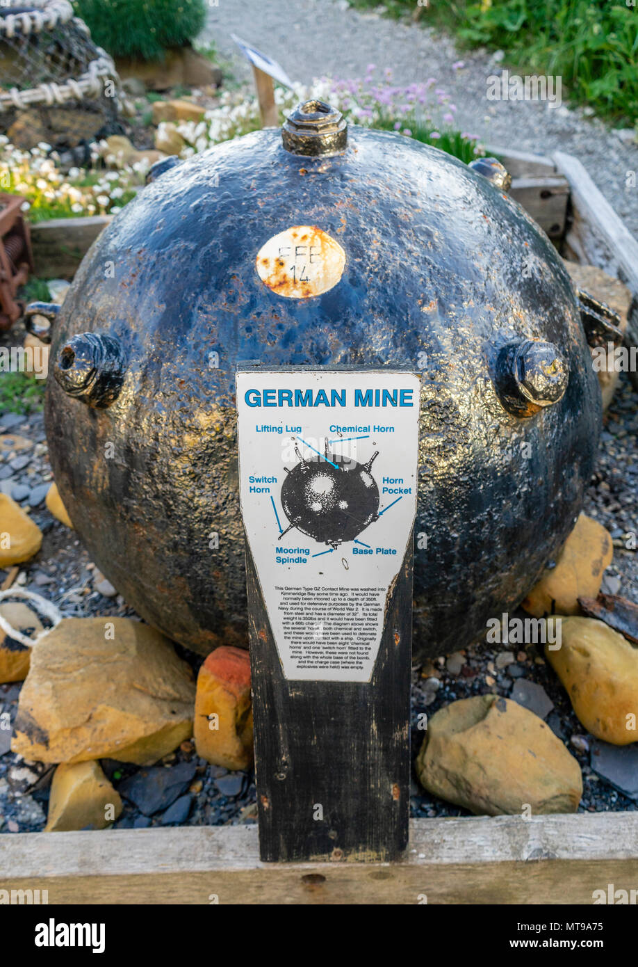 Deutsche Typ GZ naval Kontakt Mine auf Anzeige bei Kimmeridge Bucht in Dorset, England, Großbritannien Stockfoto