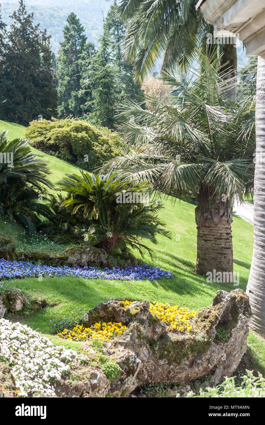 Exotischer Garten Bellagio Italien Como Stockfoto