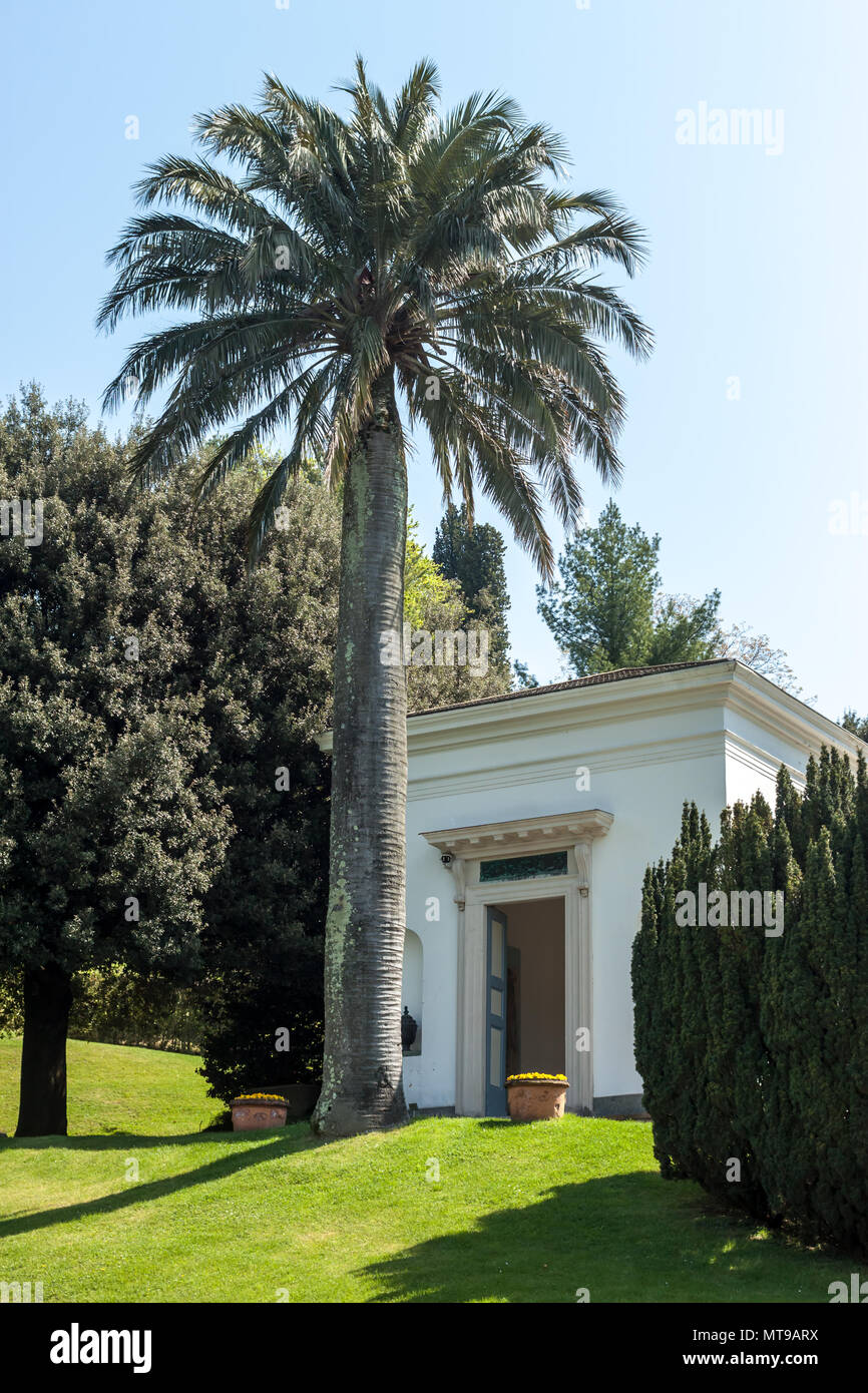 Exotischer Garten mit Palmen Bellagio Italien Como Stockfoto