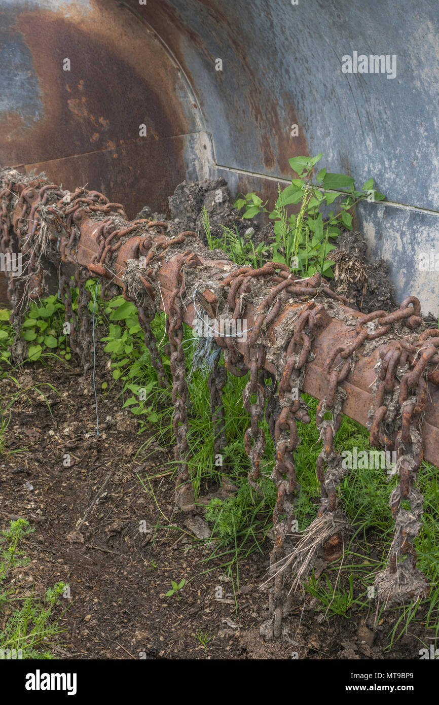 Blick in die Trommel eines Dreschkolbenstreuers mit Drehschlegelketten, dessen Unkraut in altem Dreck wächst - typische Landmaschinen und rostige Ketten. Stockfoto